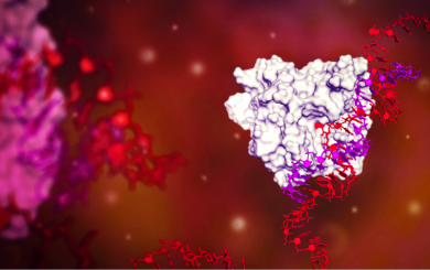 Visualisation of the Axiomer technology at work, in a cell