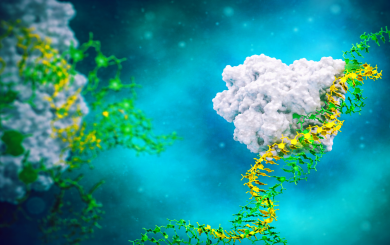 Visualisation of the Axiomer technology at work, in a cell