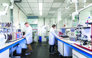 Decorative image