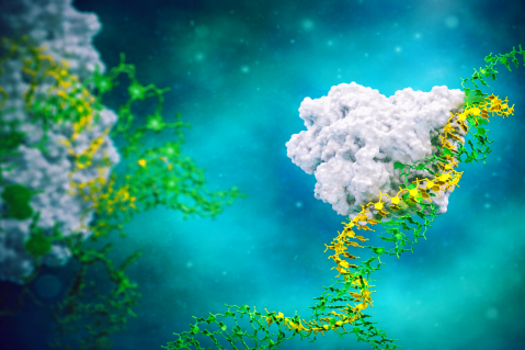 Axiomer RNA editing platform technology