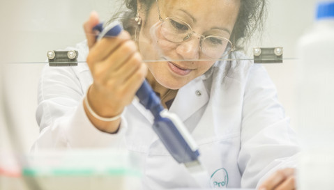 A ProQRian working on a cell culture in the laboratory