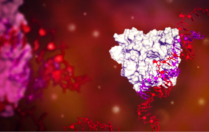 Visualisation of the Axiomer technology at work, in a cell