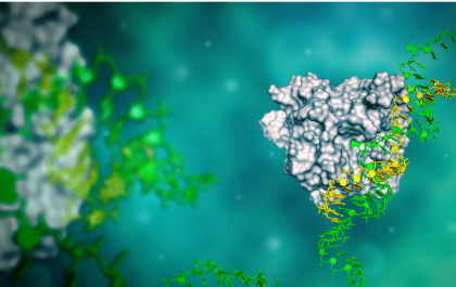 Axiomer RNA editing platform technology