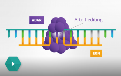 How ADAR and Axiomer work