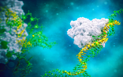 Visualisation of the Axiomer technology at work, in a cell