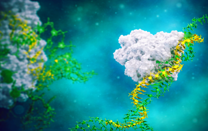 Visualisation of the Axiomer technology at work, in a cell