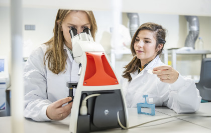 Female scientists working in the lab