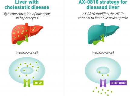 AX-0810 strategy for diseased liver