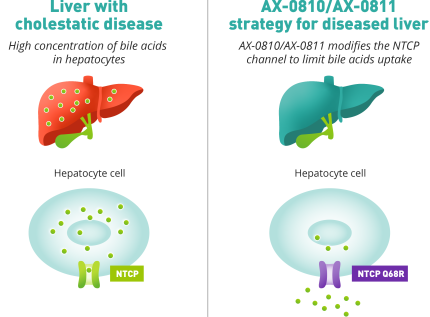 AX-0810/AX-0811 strategy for diseased liver
