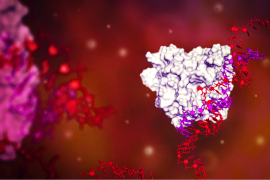 Visualisation of the Axiomer technology at work, in a cell