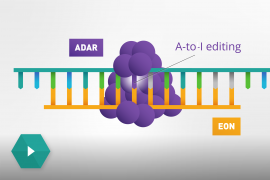 How ADAR and Axiomer work