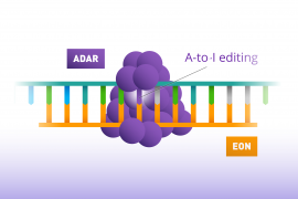 ADAR and Axiomer explained