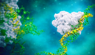 Axiomer RNA editing platform technology